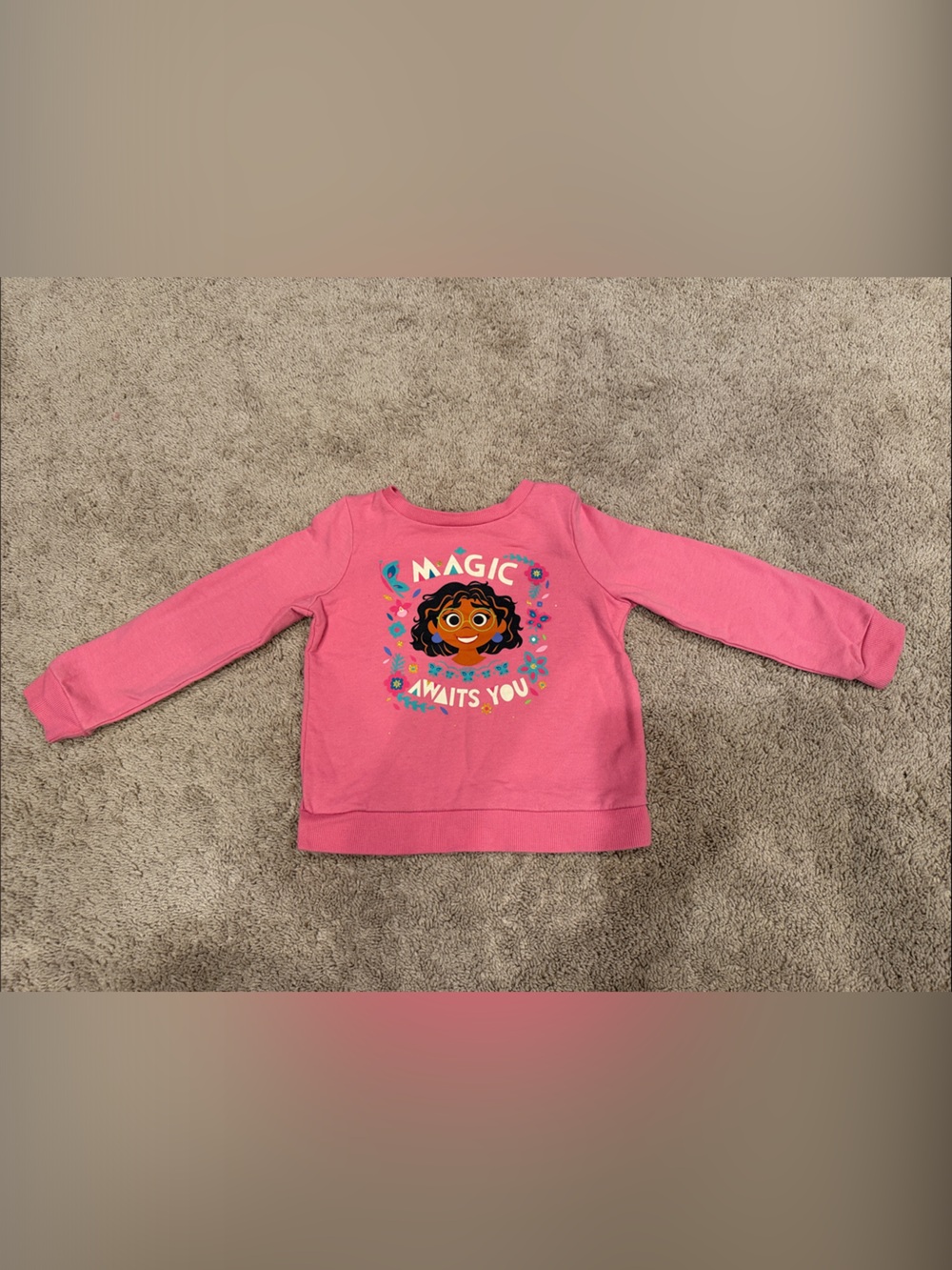 Encanto Pink Graphic Sweatshirt